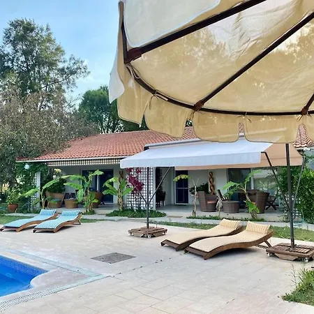 Sunyear Jacuzzi Winter Pensión