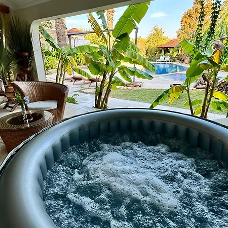 Sunyear Jacuzzi Winter *