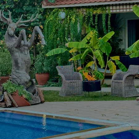 Sunyear Jacuzzi Winter Pensión