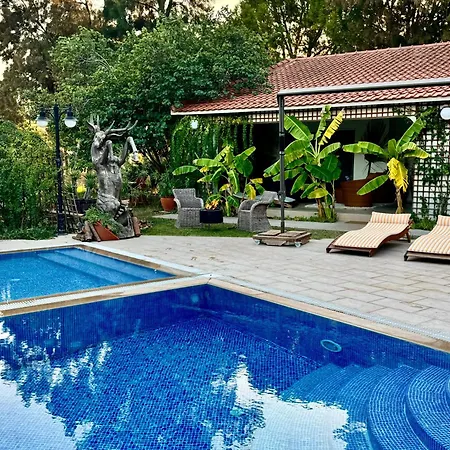 Sunyear Jacuzzi Winter Pensiune *