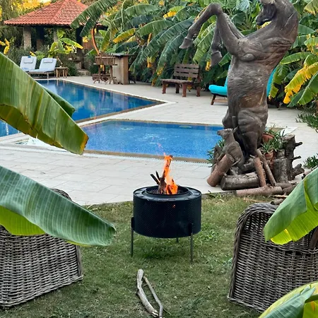 Sunyear Jacuzzi Winter Pensiune *