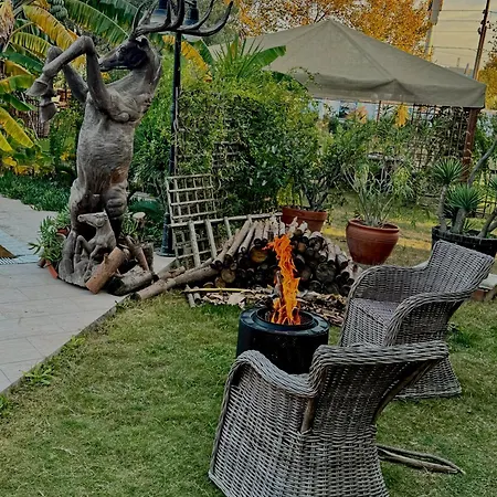 Sunyear Jacuzzi Winter *