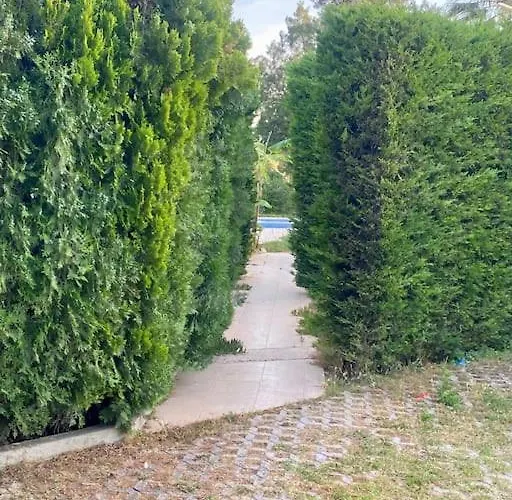 Sunyear Jacuzzi Winter 3* 乌尔拉