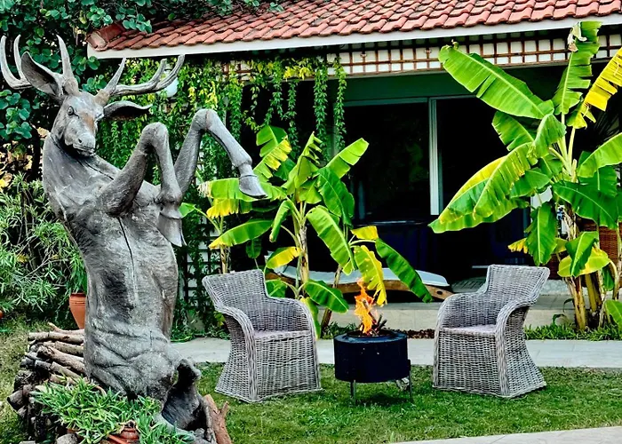 Sunyear Jacuzzi Winter Pensionat 3*