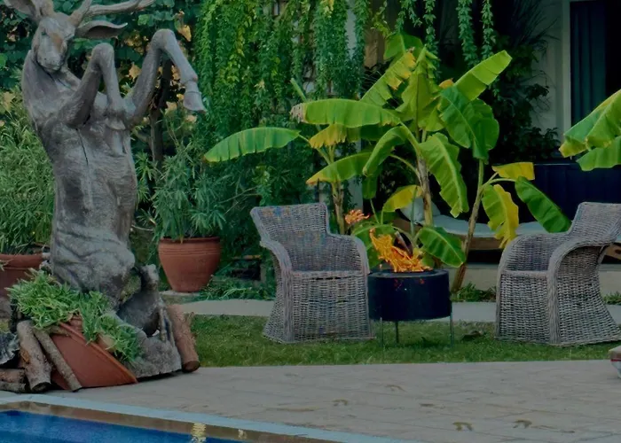 Sunyear Jacuzzi Winter Pensionat