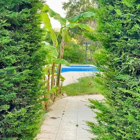 Πανσιόν Sunyear Jacuzzi Winter Βουρλά