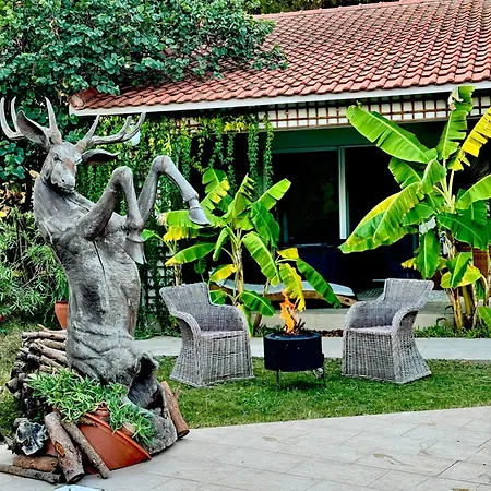 Sunyear Jacuzzi Winter Πανσιόν 3*