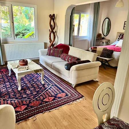 Πανσιόν Sunyear Jacuzzi Winter 3*