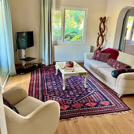 Πανσιόν Sunyear Jacuzzi Winter 3*